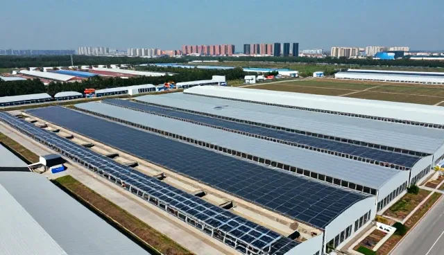 快速包装配送的业务趋势与实际操作建议